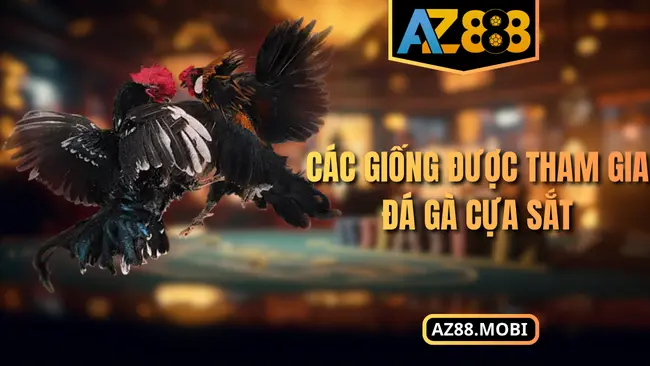 Các giống được tham gia đá gà cựa sắt