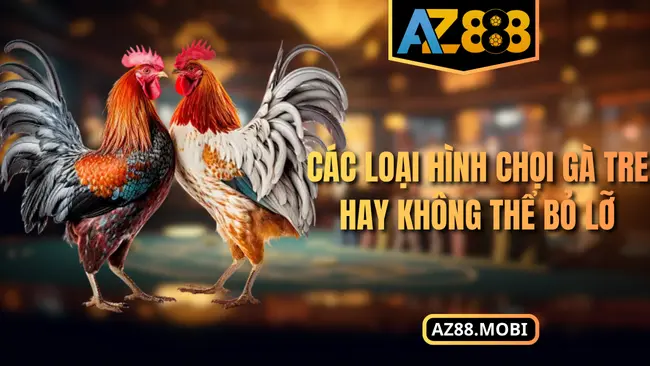 Các loại hình chọi gà tre hay không thể bỏ lỡ