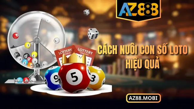 Cách nuôi con số loto hiệu quả