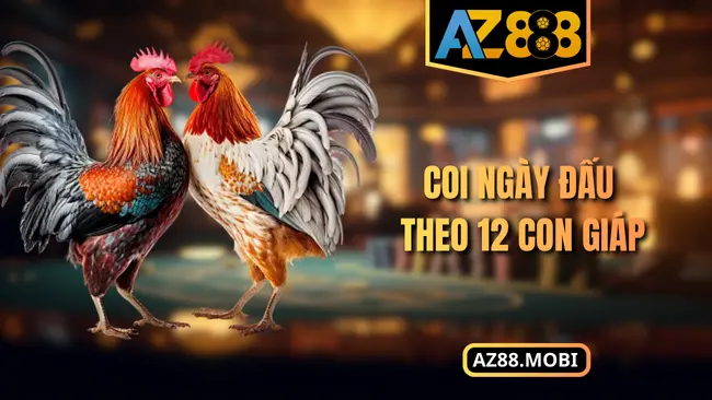 Coi ngày đấu theo 12 con giáp