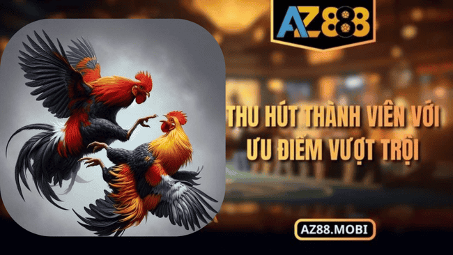 Đá gà AZ88