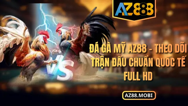 Đá Gà Mỹ AZ88 – Theo Dõi Trận Đấu Chuẩn Quốc Tế Full HD