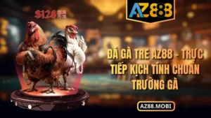 Đá Gà Tre AZ88 – Trực Tiếp Kịch Tính Chuẩn Trường Gà
