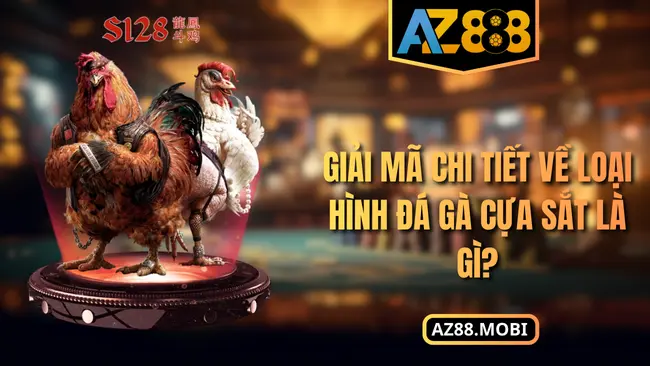 Giải mã chi tiết về loại hình đá gà cựa sắt là gì?
