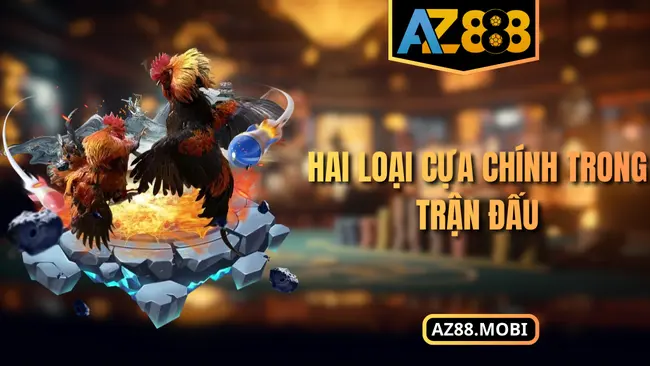 Hai loại cựa chính trong trận đấu