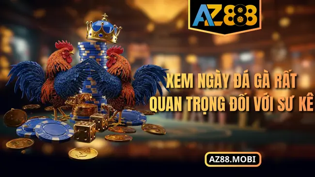 Xem ngày đá gà rất quan trọng đối với sư kê